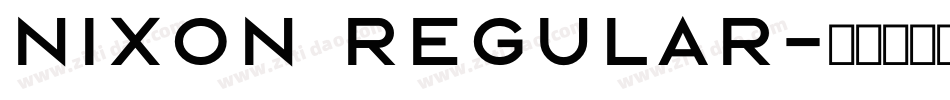 Nixon Regular字体转换